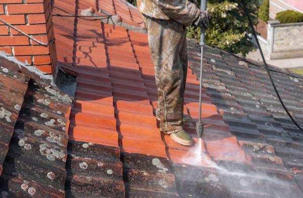 Roof Cleaning​