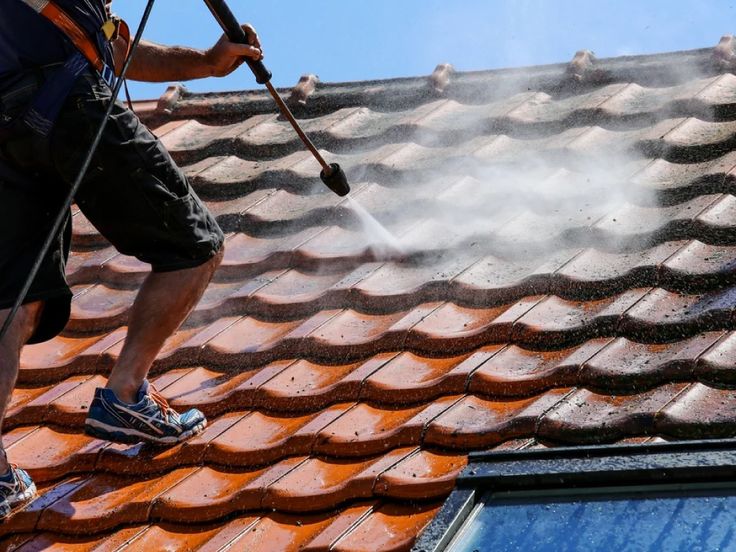 Roof Cleaning​ 1