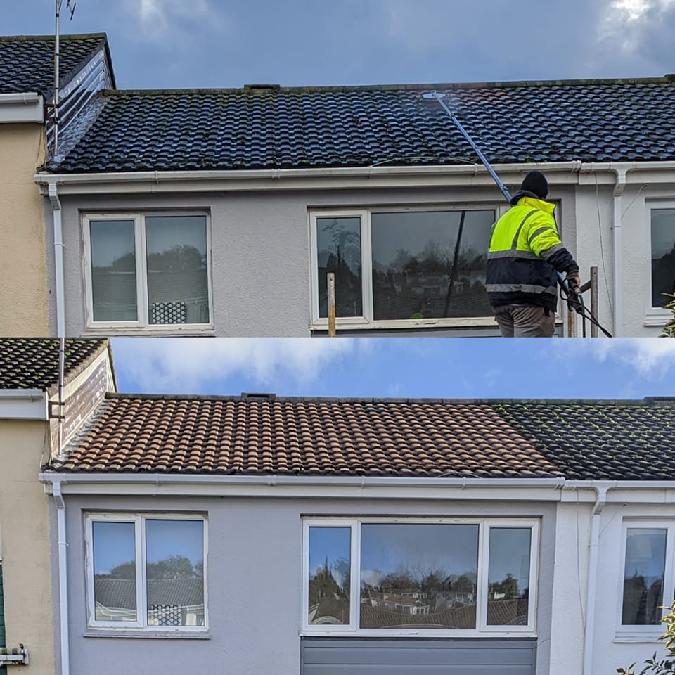 Roof Cleaning​