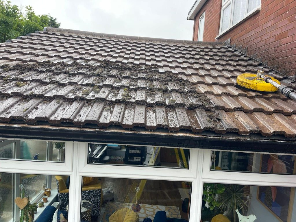 Cleaning Cedar Shingles​