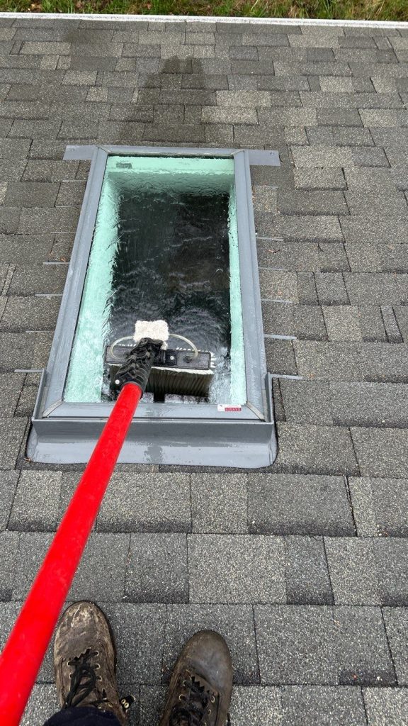 Skylight Cleaning​