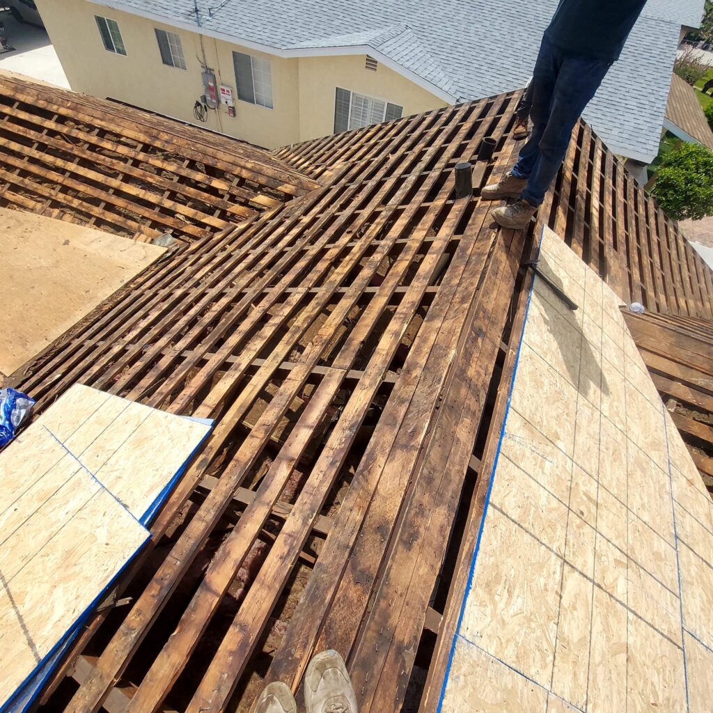 Roof Tune Up